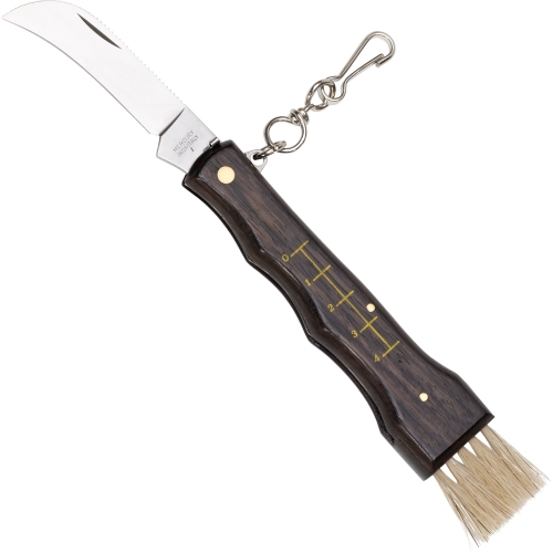 Pilzmesser mit Bürste Holzgriff rostfreie Klinge 7 cm Lang Pilz Messer